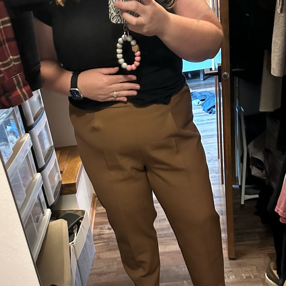 Elegant Brown Women's Pants
